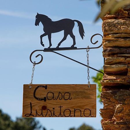 Cavalo De Xisto - Turismo Rural, Lda. Guest House Almaceda Eksteriør bilde