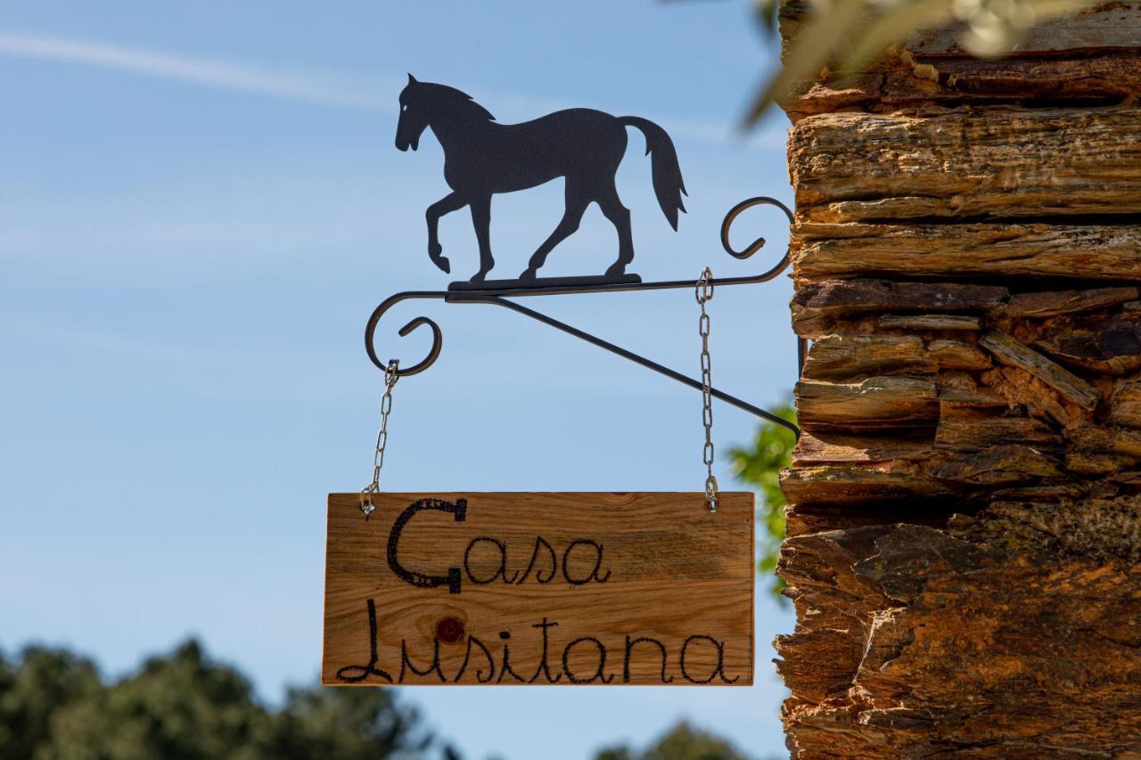 Cavalo De Xisto - Turismo Rural, Lda. Guest House Almaceda Eksteriør bilde